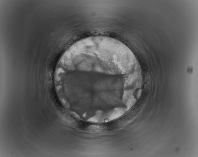 X0000100310699200807031147