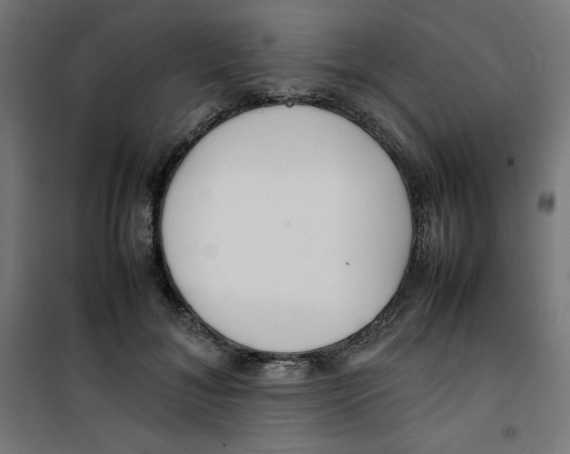 X0000100310700200807031147