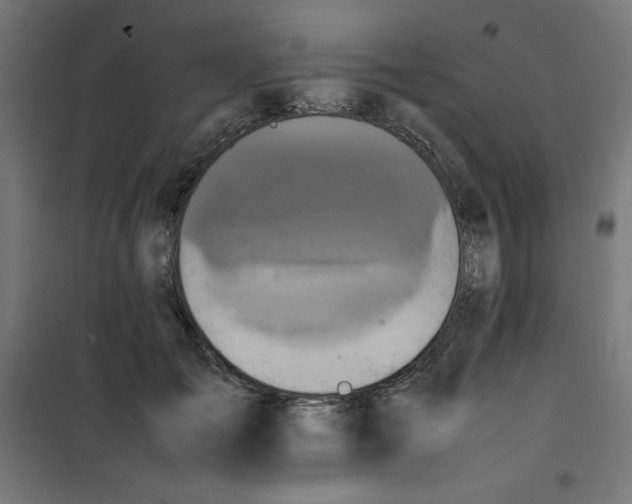 X0000100310701200807031147
