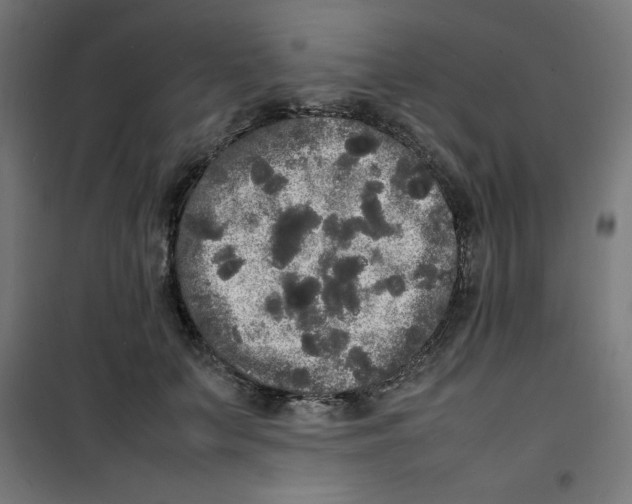 X0000100310703200807031147