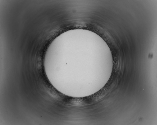 X0000100310704200807031147