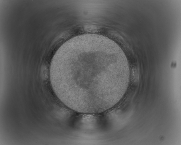X0000100310705200807031147