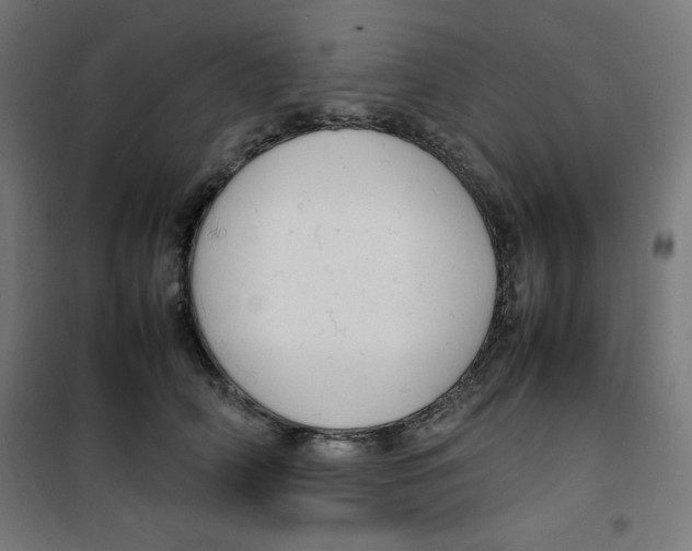 X0000100310706200807031147