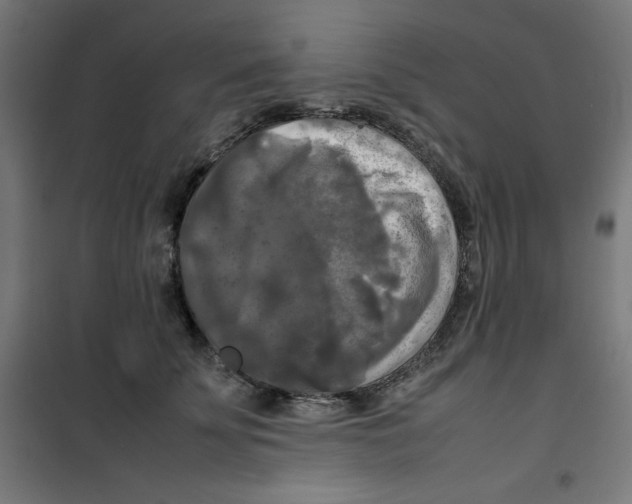 X0000100310707200807031147