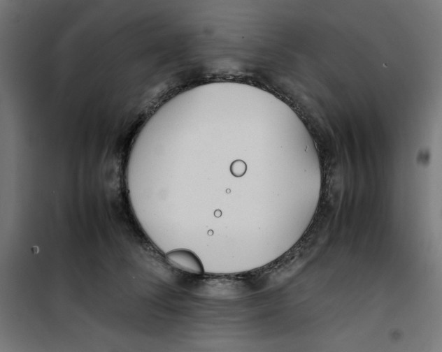 X0000100310708200807031147