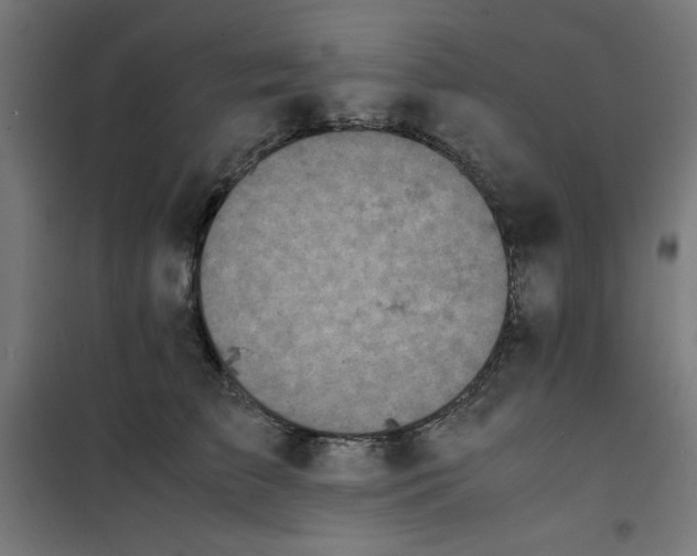 X0000100310709200807031147