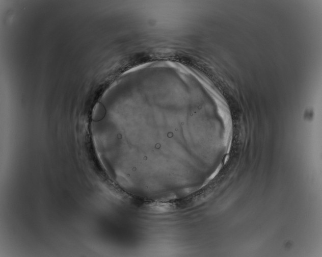 X0000100310711200807031146