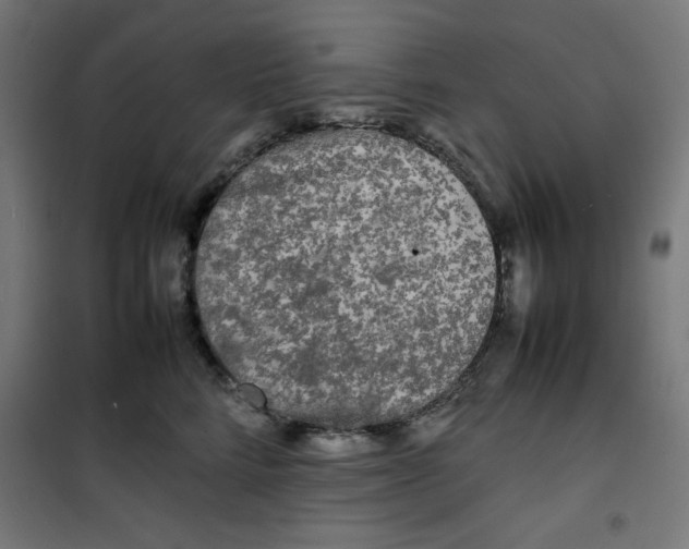 X0000100310712200807031146
