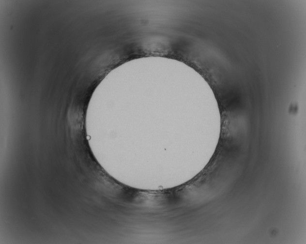 X0000100310713200807031146