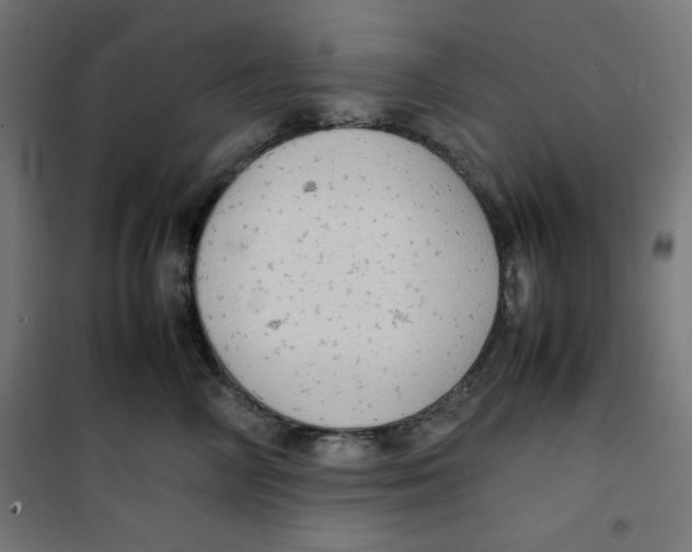 X0000100310714200807031146