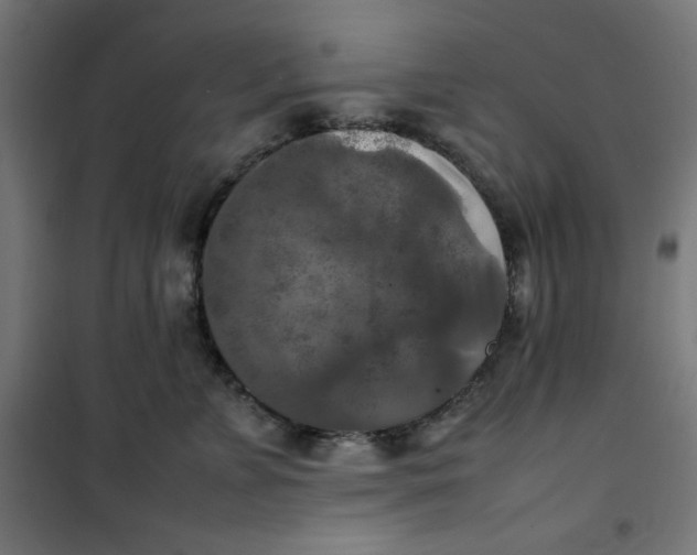 X0000100310715200807031146