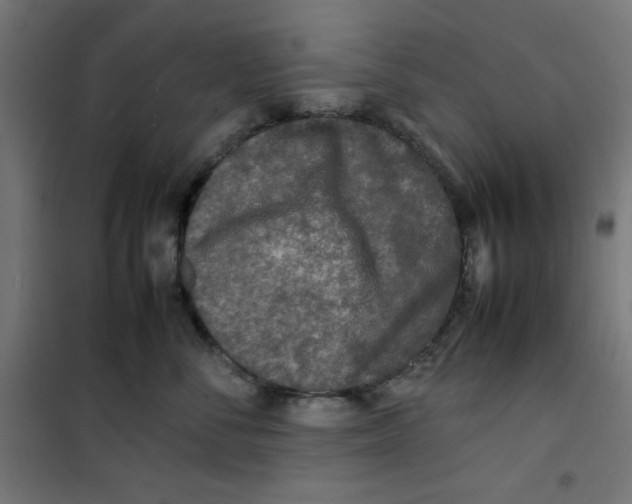 X0000100310716200807031146