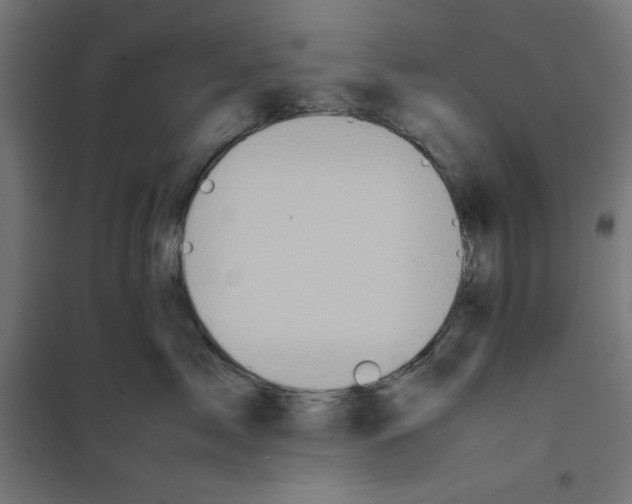 X0000100310717200807031146