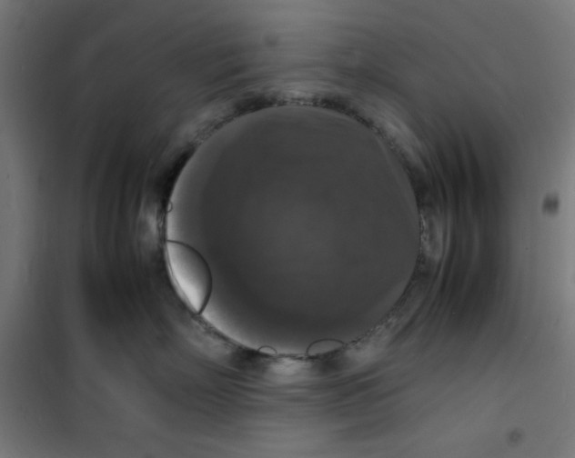 X0000100310718200807031146