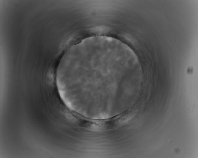 X0000100310720200807031146
