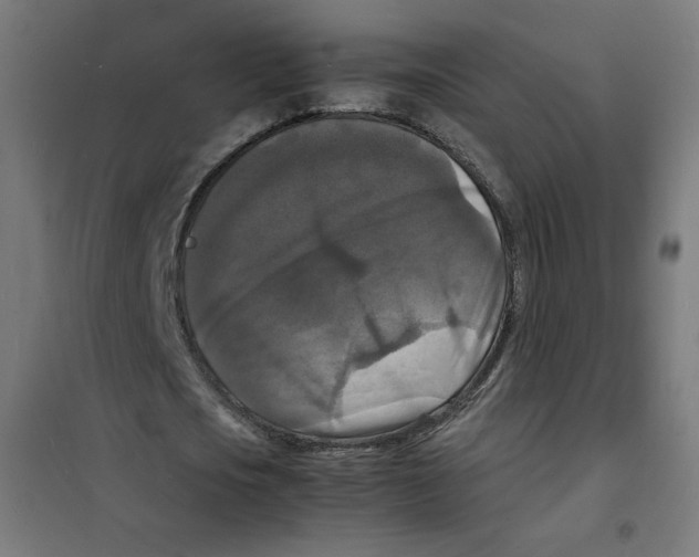 X0000100310721200807031146