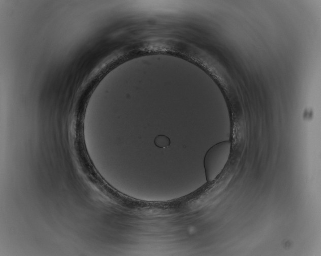 X0000100310722200807031146