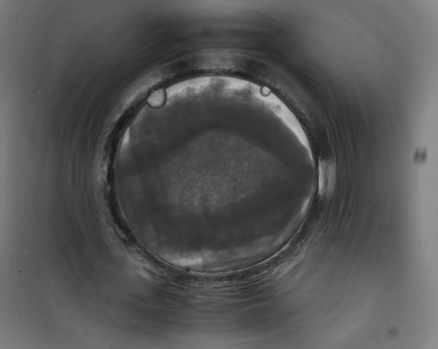 X0000100310723200807031146