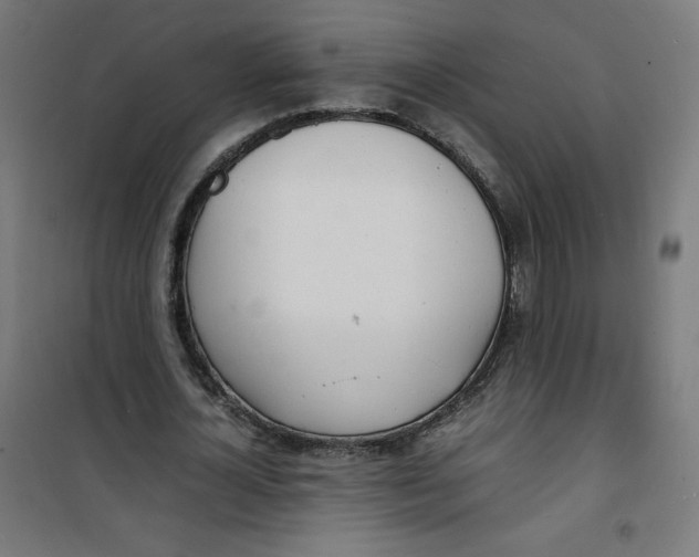 X0000100310724200807031146