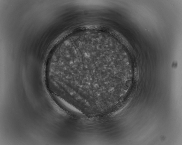 X0000100310725200807031146