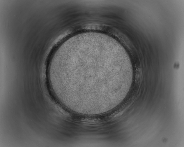 X0000100310727200807031146