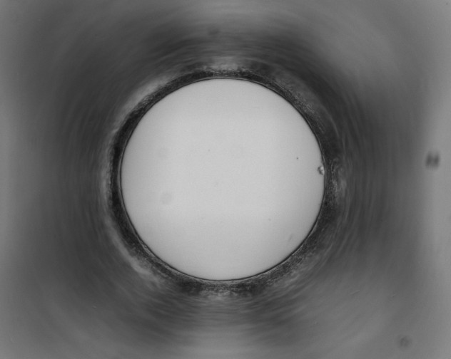 X0000100310728200807031146