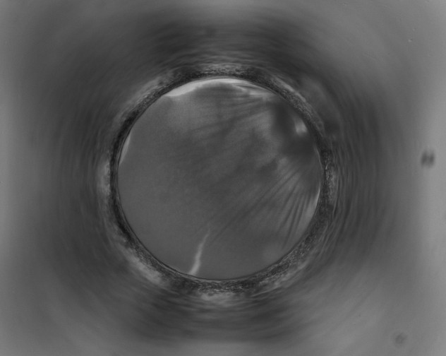 X0000100310729200807031146