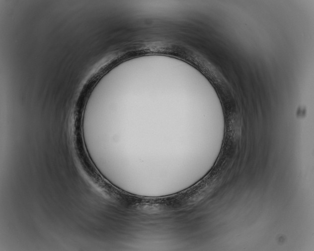 X0000100310730200807031146
