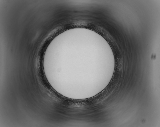 X0000100310731200807031146