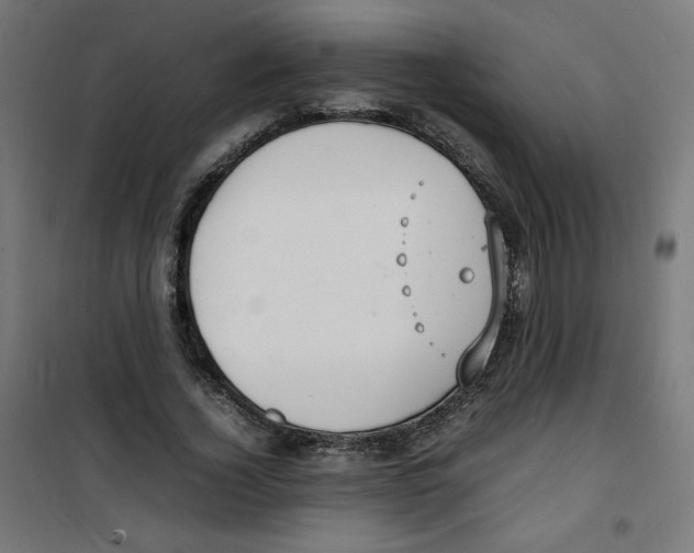 X0000100310732200807031146