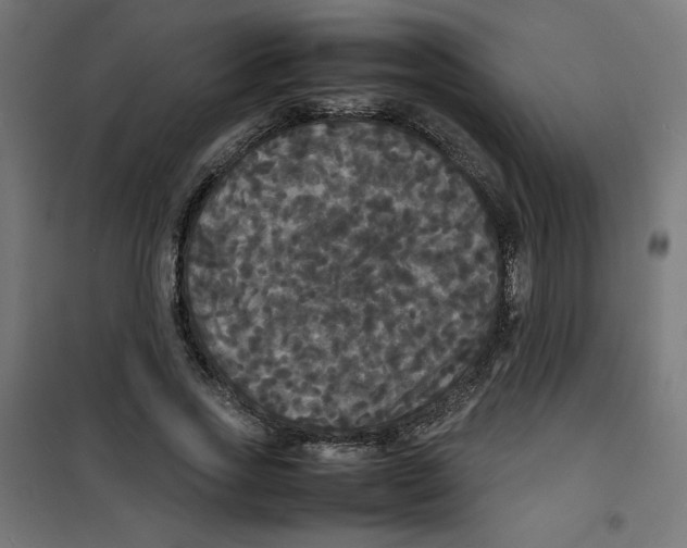 X0000100310733200807031146