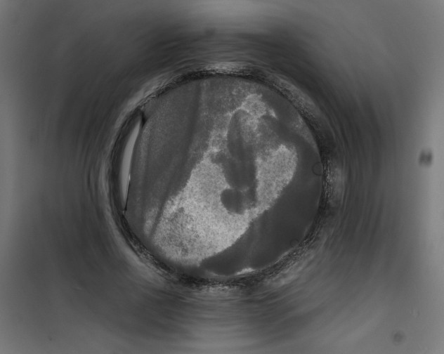 X0000100310734200807031146