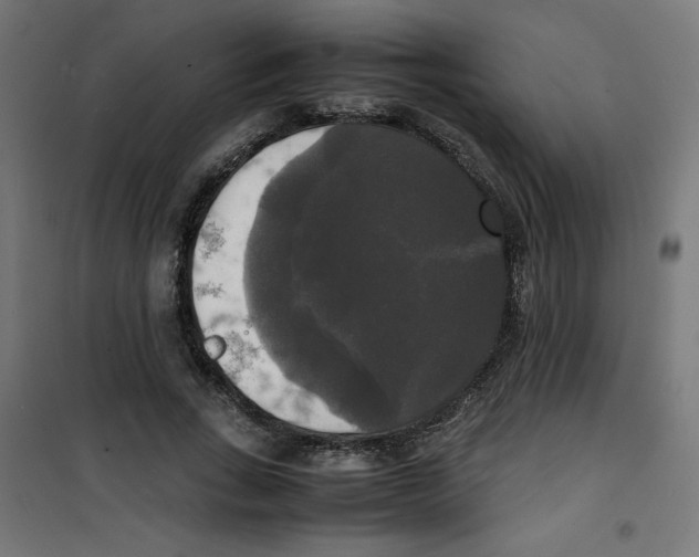 X0000100310735200807031146