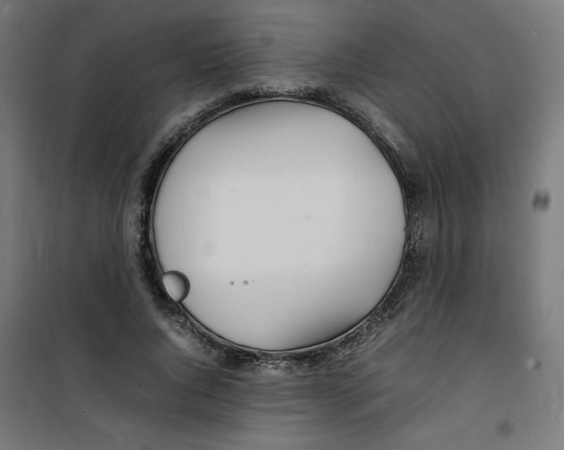 X0000100310736200807031146