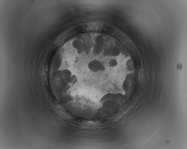 X0000100310737200807031146
