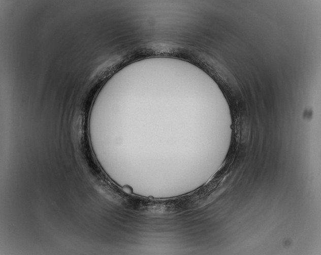 X0000100310740200807031146