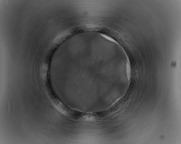 X0000100310742200807031146