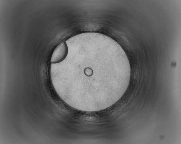 X0000100310743200807031146