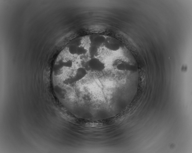 X0000100310745200807031146