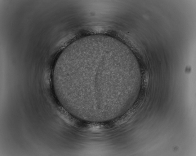 X0000100310746200807031146