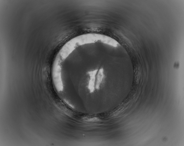 X0000100310747200807031146