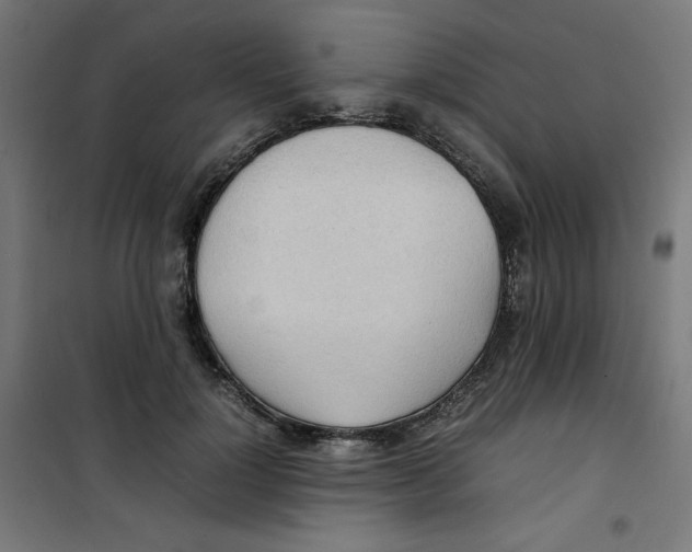 X0000100310748200807031146