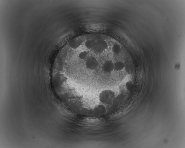 X0000100310749200807031146