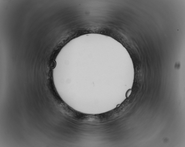 X0000100310750200807031146