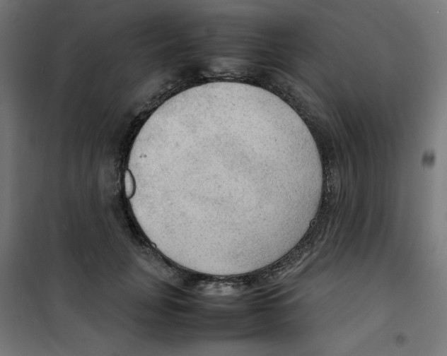 X0000100310751200807031146