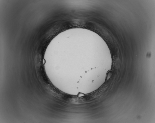 X0000100310752200807031146