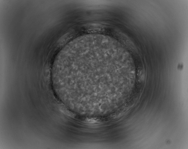 X0000100310753200807031146