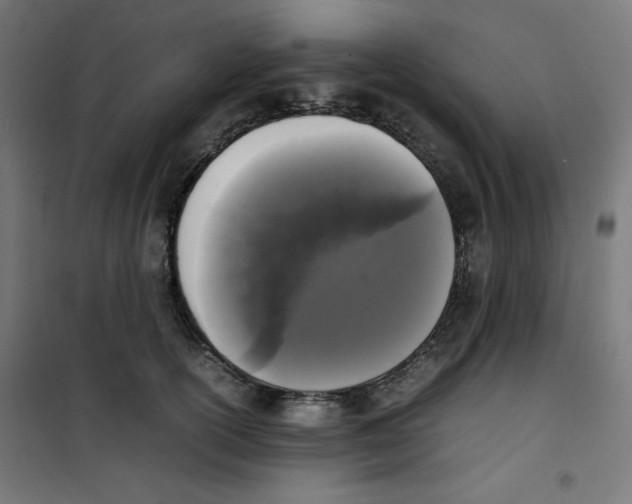 X0000100310754200807031146