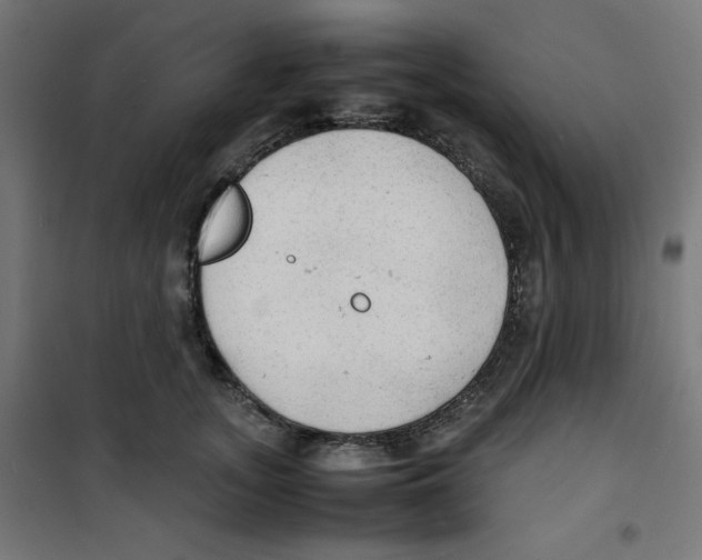 X0000100310755200807031146