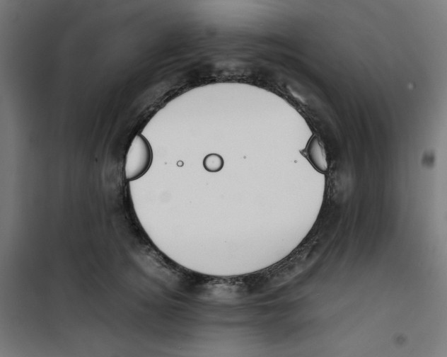 X0000100310756200807031146